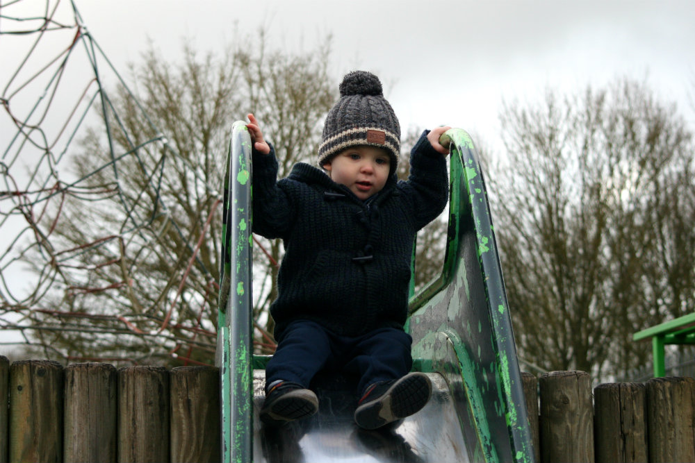 Pickle sitting at the top of the slide